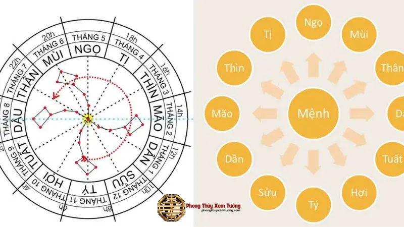 Hình ảnh minh họa Cách Đọc Lá Số Tử Vi Cơ Bản (Cách Đọc Lá Số Tử Vi Cơ Bản)