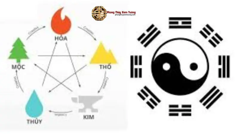 Hình ảnh minh họa Cách Tính Cung Phi (Cách Tính Cung Phi)