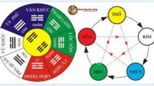 Hình ảnh minh họa Cách Tính Cung Phi (Cách Tính Cung Phi)